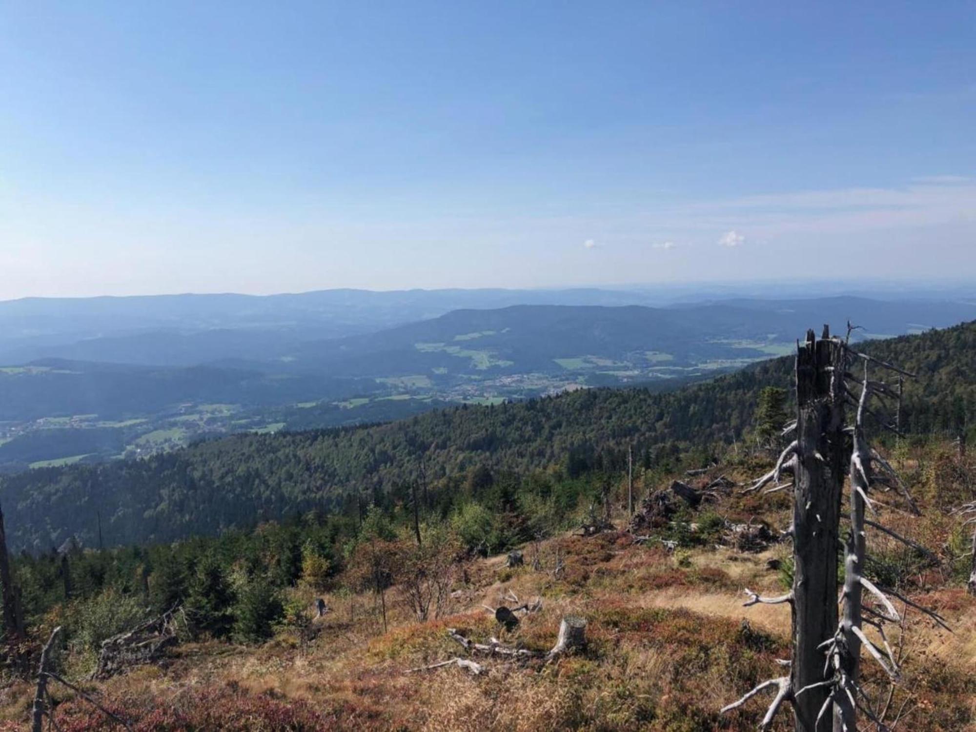 Apartment In The Bavarian Forest With Balcony Drachselsried Exterior foto